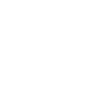 white-timeline-icon